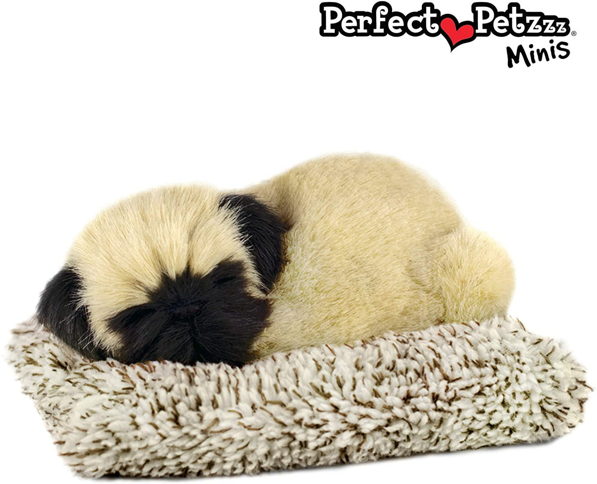 Mini Pug