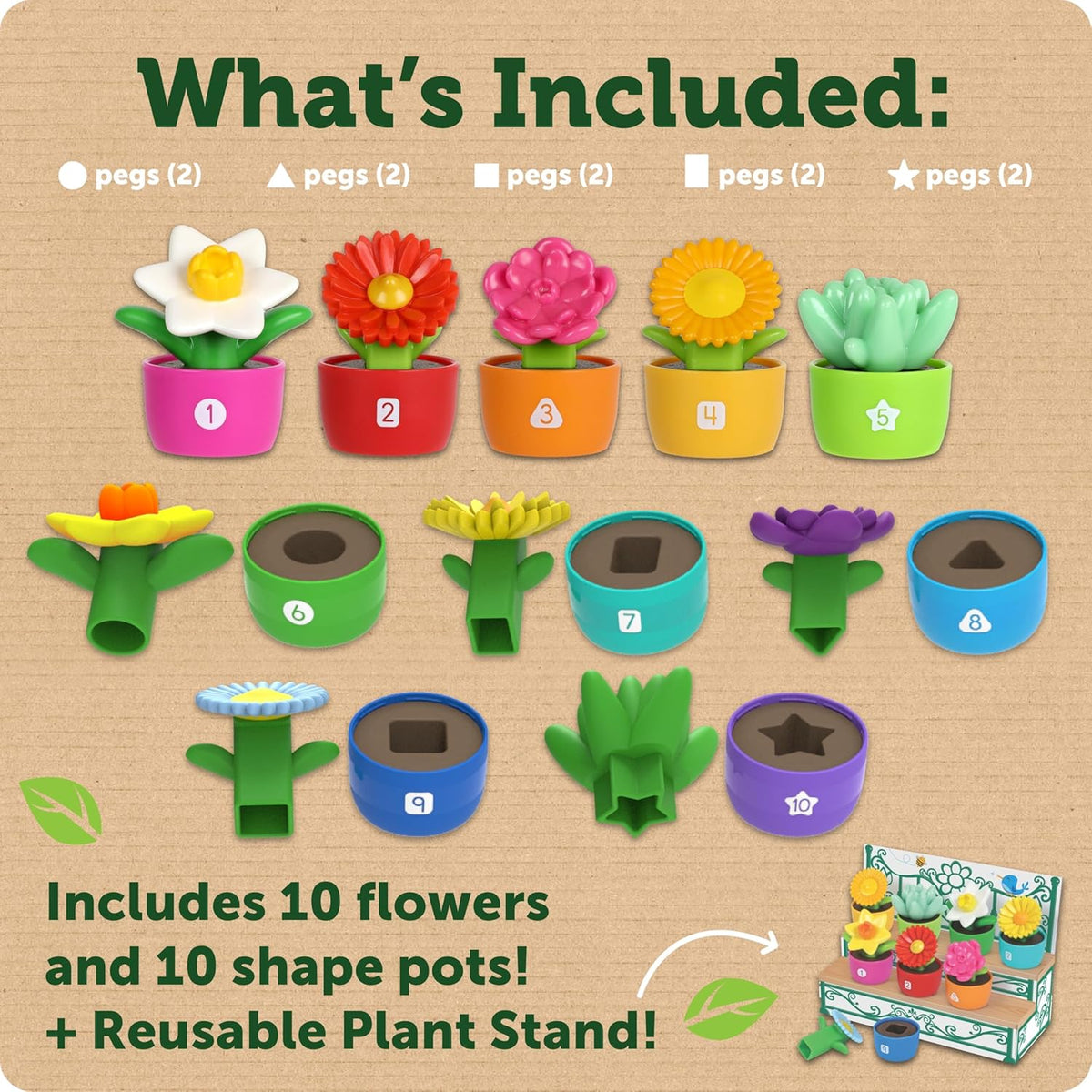 Shape N Color Garden