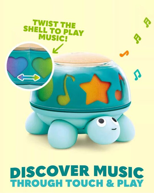 Twist N Tune Turtle