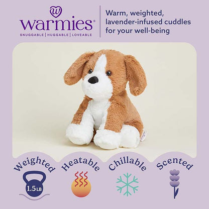 Beagle Warmies