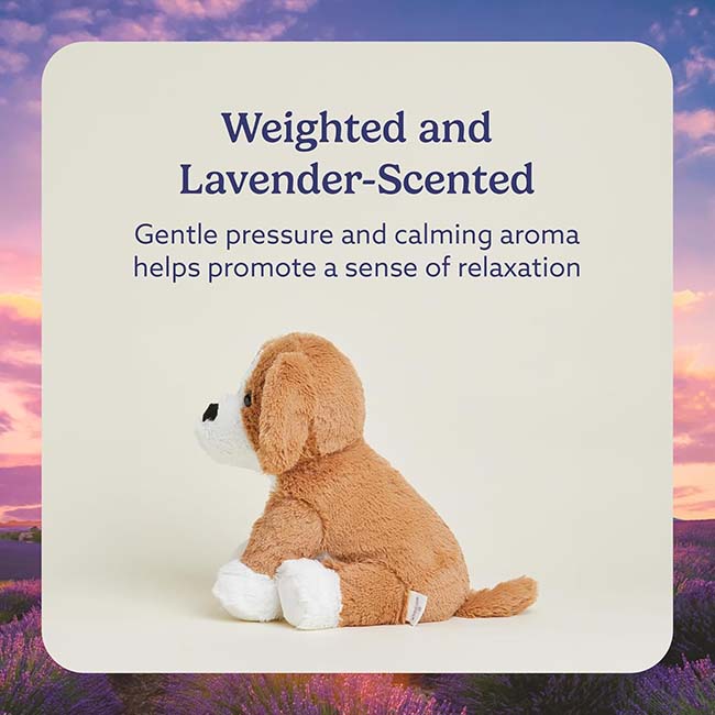 Beagle Warmies