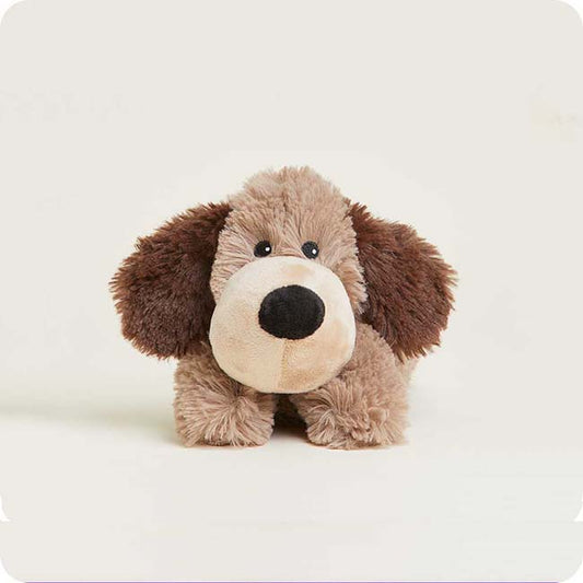 Brown Dog Junior Warmies