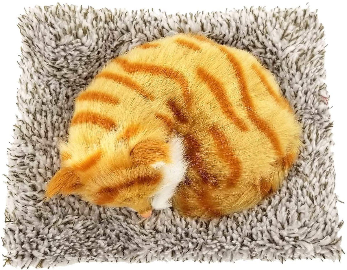 Mini Orange Tabby