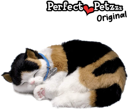 Calico Cat Perfect Pet