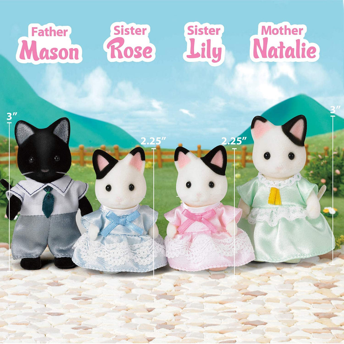 Tuxedo Cat Family