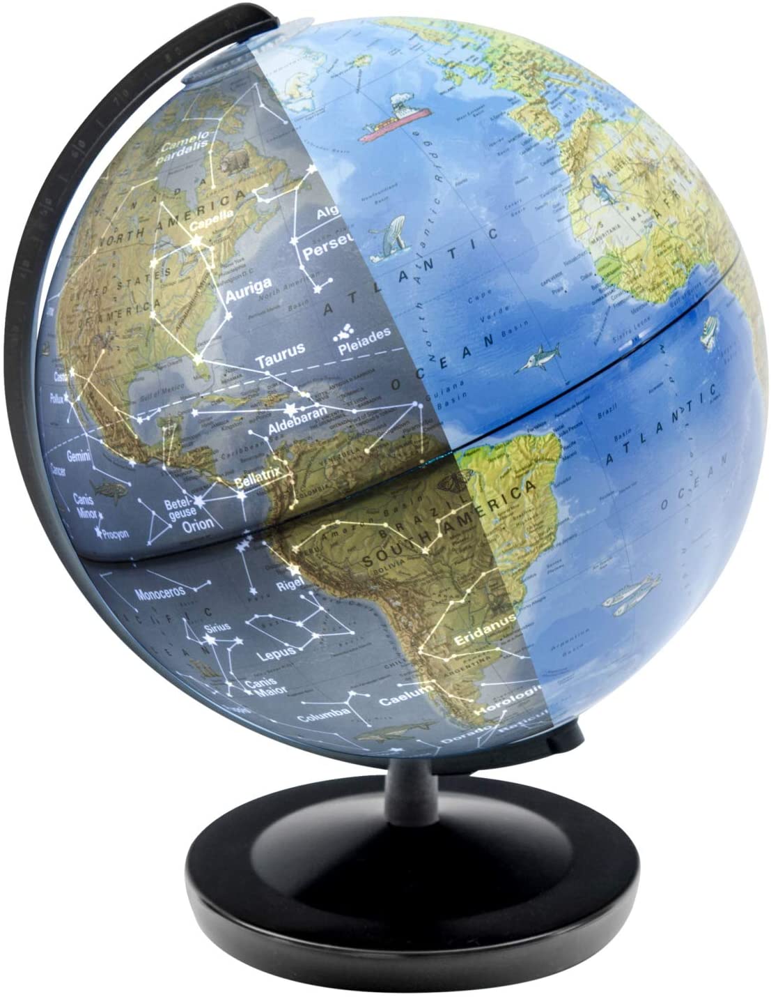 Day Night Globe
