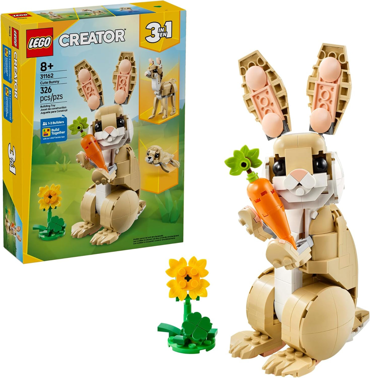Cute Bunny