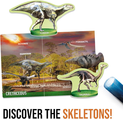 Dinosaurs Under the X-Ray