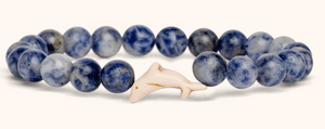 Coastal Blue Dolphin